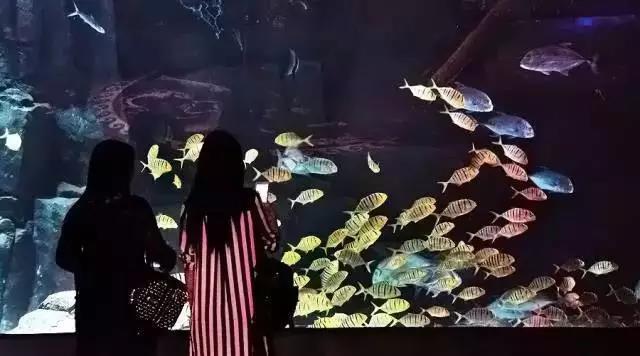 微信图片_20211015095932.jpg