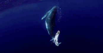 微信图片_20211015100005.gif